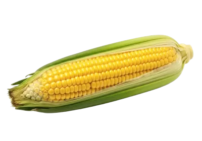 Imagen PNG para descargar